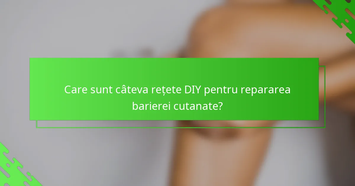 Care sunt câteva rețete DIY pentru repararea barierei cutanate?