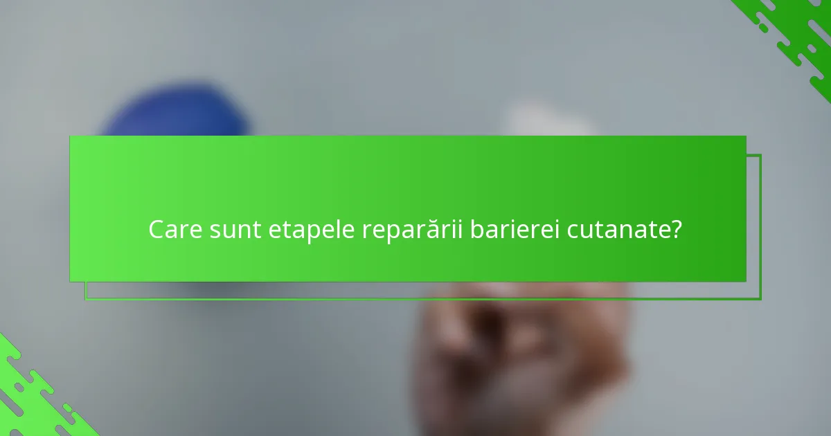 Care sunt etapele reparării barierei cutanate?